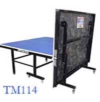 میز پینگ پنگ عابدینی مدل TM114